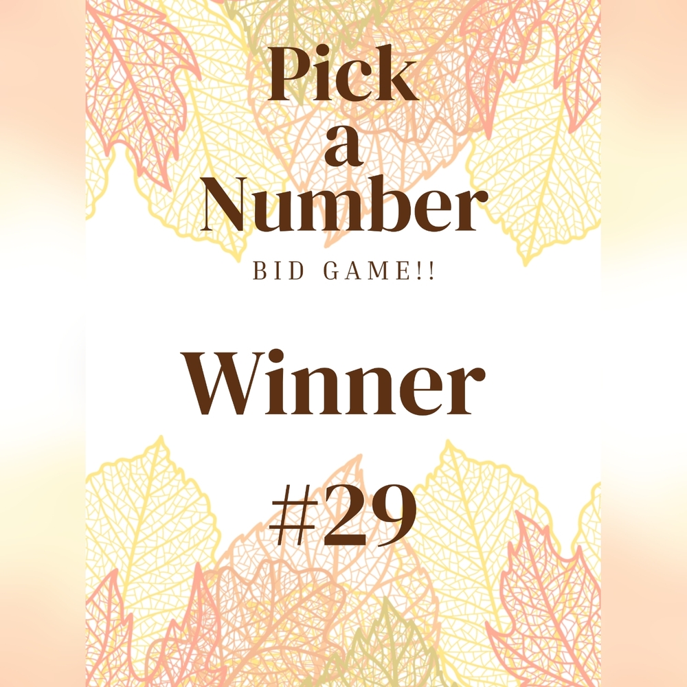 Winner #29